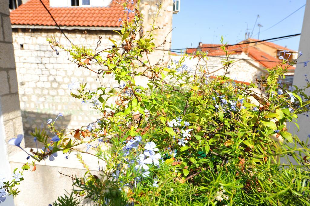 Apartman Branka Split Kültér fotó